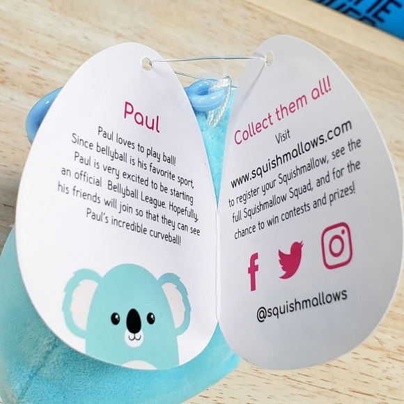 Squishmallow Paul the Valentine's Day Koala 3.5" Clip 2021 UltraSoft Plush - Picture 11 of 12